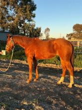 Lot 23