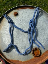 Lot 12