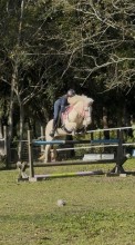 Lot 4