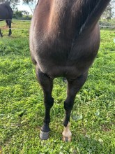 Lot 8