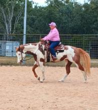 Lot 1