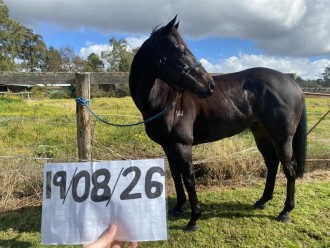 Lot 13