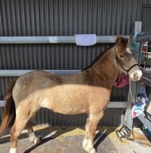 Lot 11