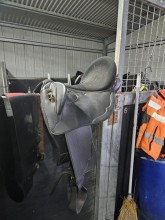 Lot 103