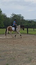 Lot 57