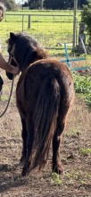 Lot 58