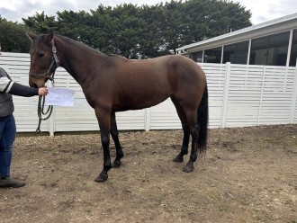 Lot 62