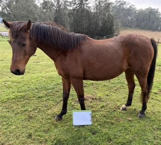 Lot 72