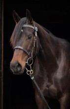Lot 78