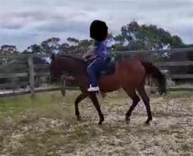 Lot 104