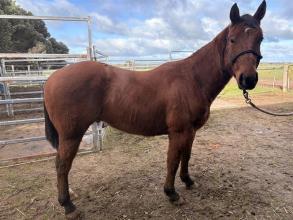 Lot 10