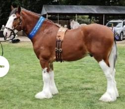 Lot 32