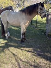 Lot 17