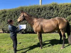 Lot 18