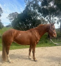 Lot 67