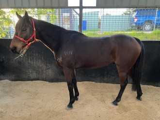 Lot 3
