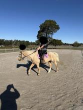Lot 6