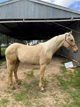 Lot 20