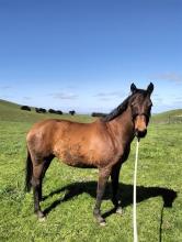 Lot 21