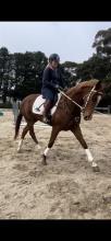 Lot 88