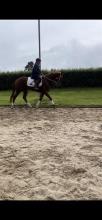 Lot 7
