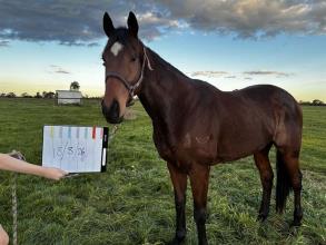 Lot 25