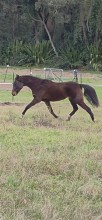 Lot 26