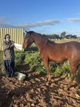Lot 28