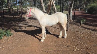 Lot 30