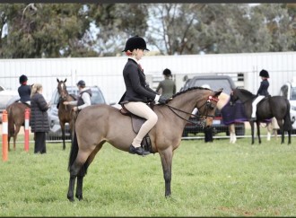 Lot 34