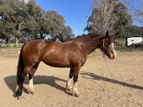 Lot 42