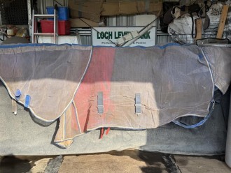 Lot 81