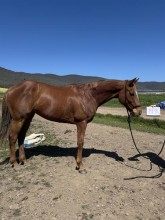 Lot 53
