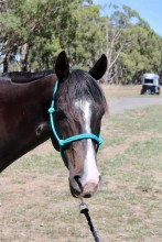 Lot 57