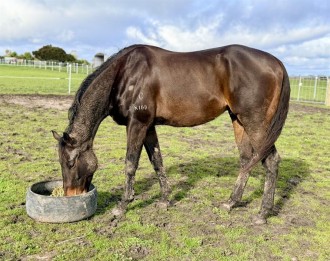 Lot 58