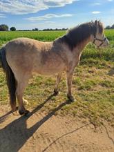 Lot 61