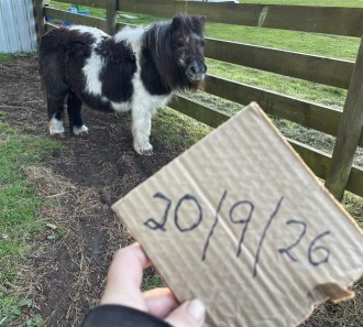 Lot 64