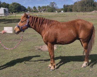 Lot 68
