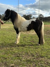 Lot 69