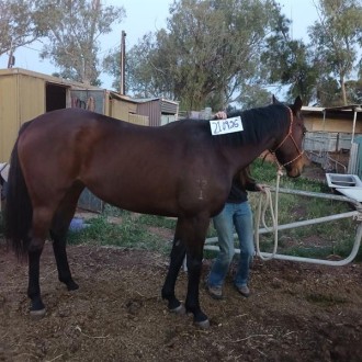 Lot 72