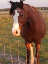 Lot 76