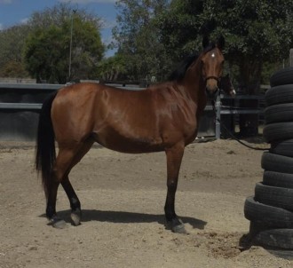 Lot 79
