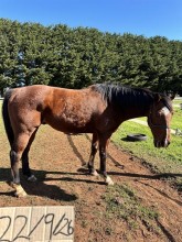 Lot 86