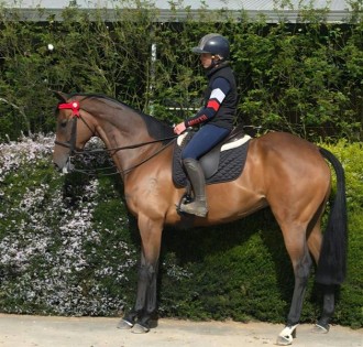 Lot 87