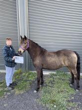 Lot 88