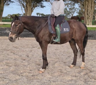 Lot 89
