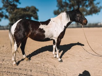 Lot 90