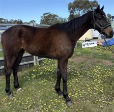 Lot 91