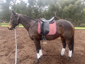 Lot 92