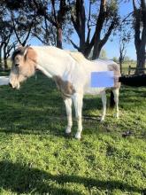 Lot 93